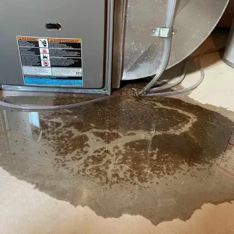 Appliance Leak Cleanup in Florence, MS